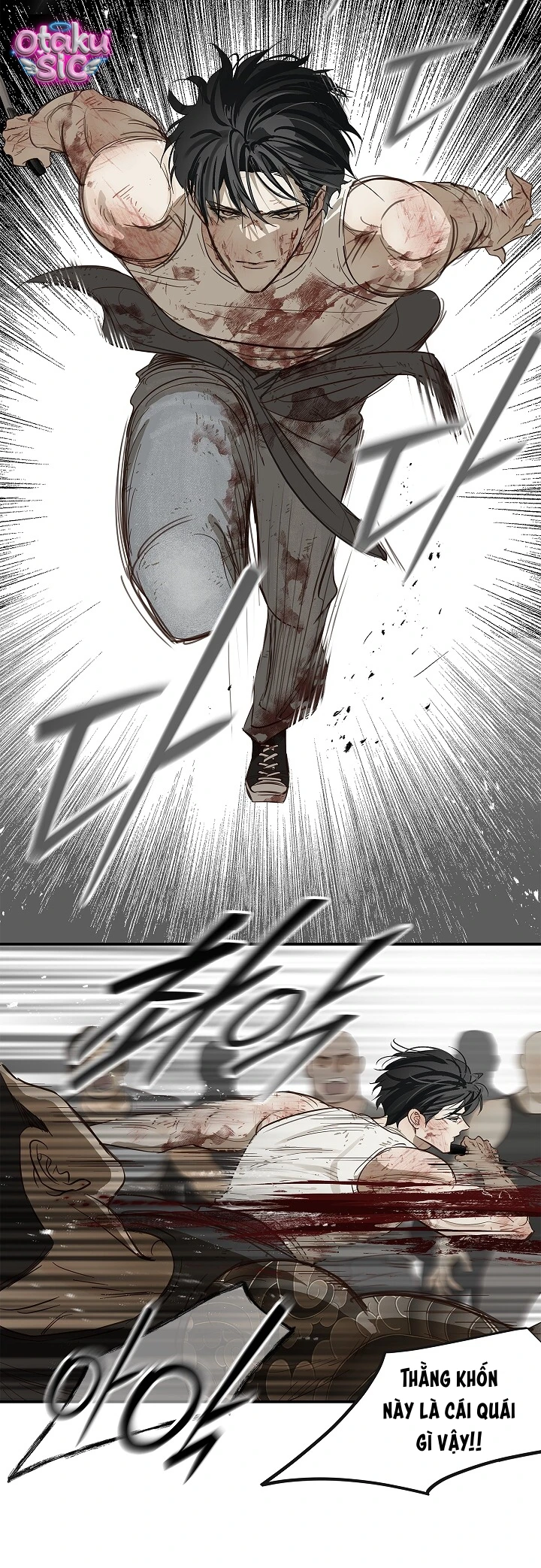Hoa Là Mồi Nhử - Chap 43 - Trang 19