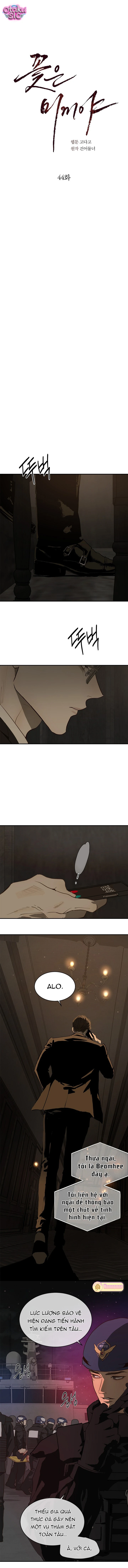 Hoa Là Mồi Nhử - Chap 44 - Trang 5