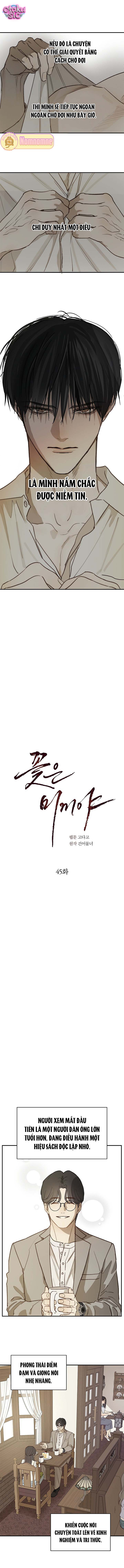 Hoa Là Mồi Nhử - Chap 45