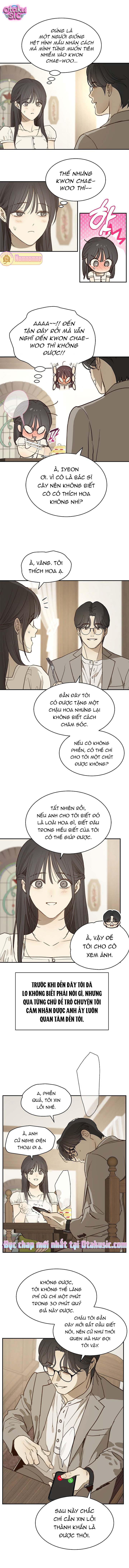 Hoa Là Mồi Nhử - Chap 45
