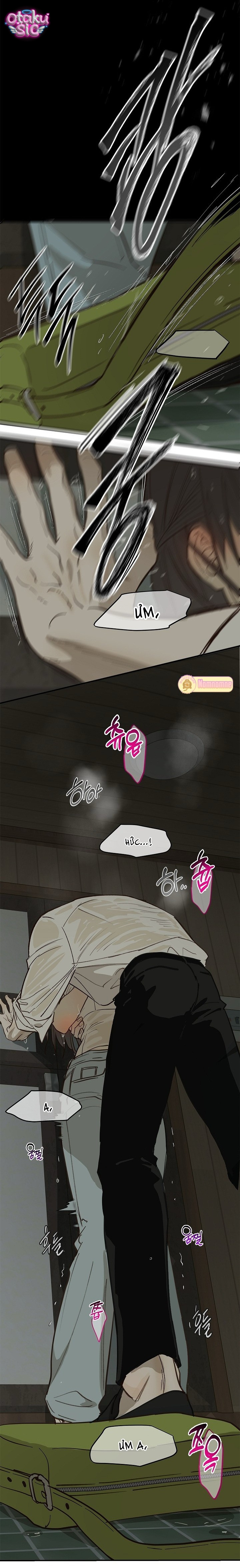 Hoa Là Mồi Nhử - Chap 47
