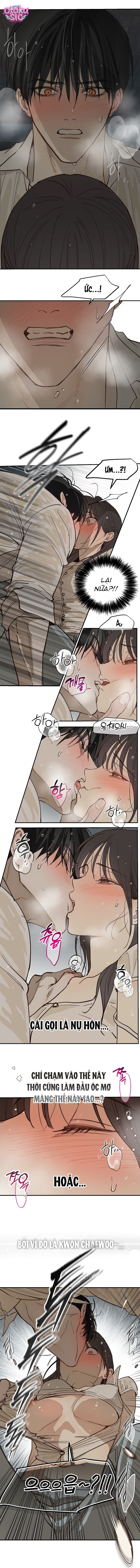 Hoa Là Mồi Nhử - Chap 48