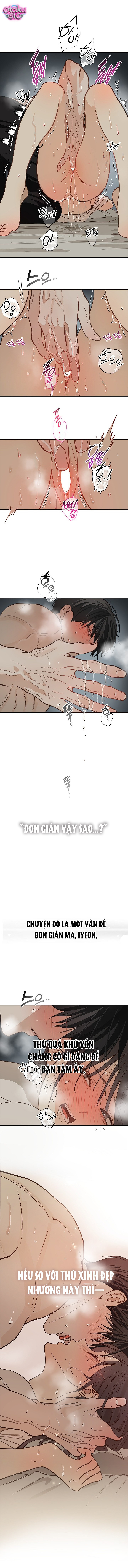 Hoa Là Mồi Nhử - Chap 48