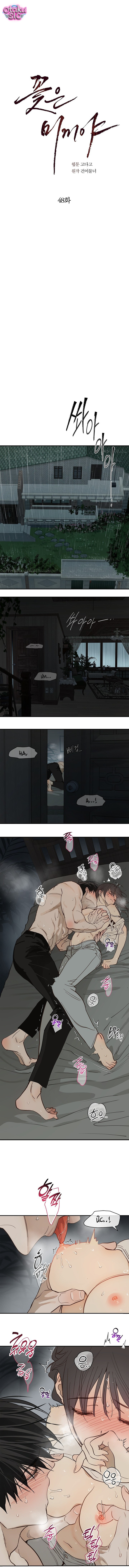 Hoa Là Mồi Nhử - Chap 48