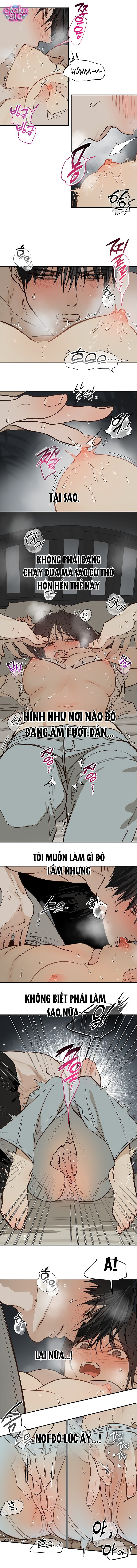 Hoa Là Mồi Nhử - Chap 48