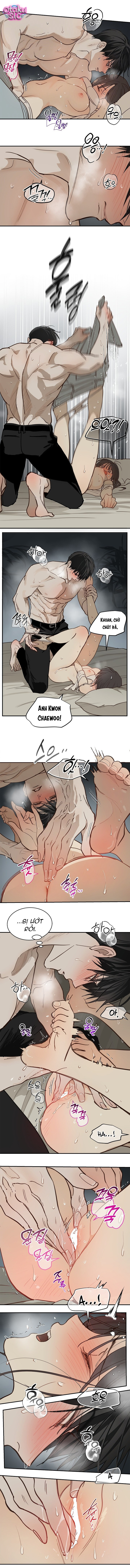 Hoa Là Mồi Nhử - Chap 48