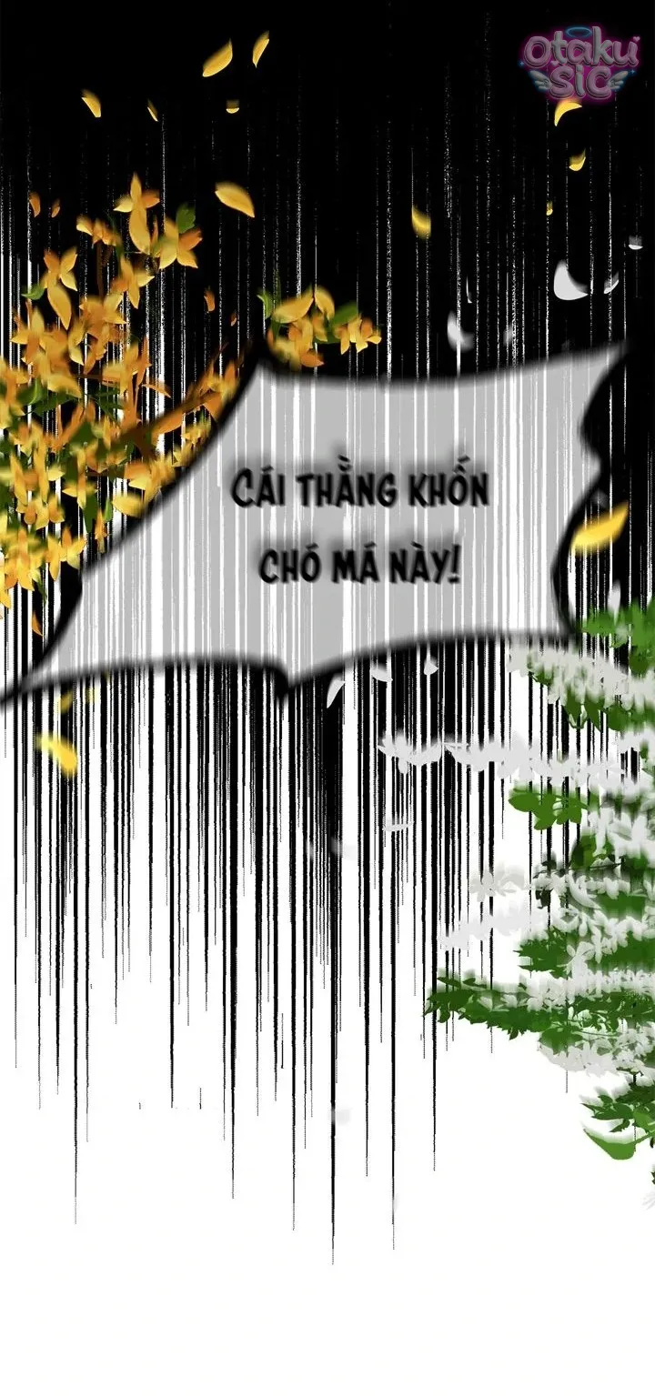 Hoa Là Mồi Nhử - Chap 5 - Trang 13
