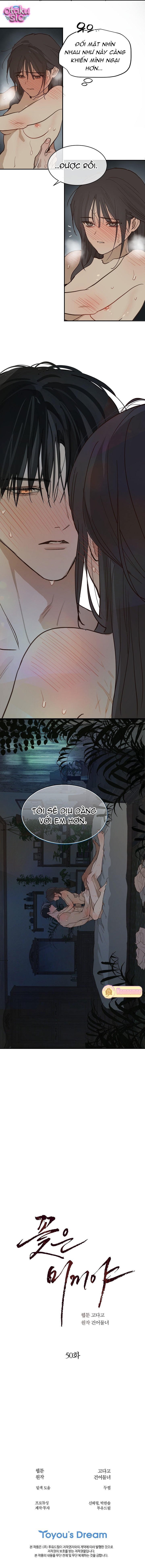 Hoa Là Mồi Nhử - Chap 50