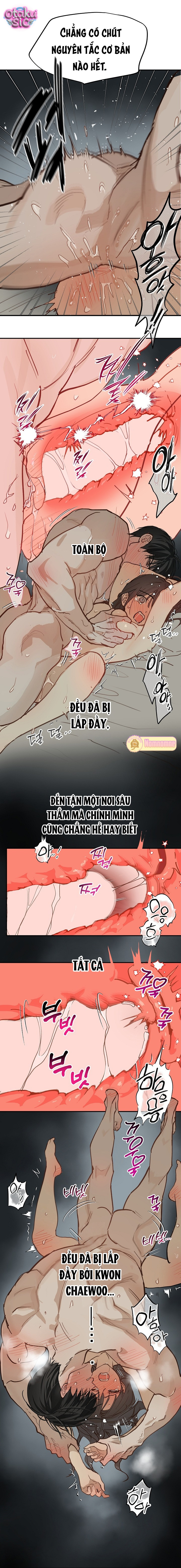 Hoa Là Mồi Nhử - Chap 50