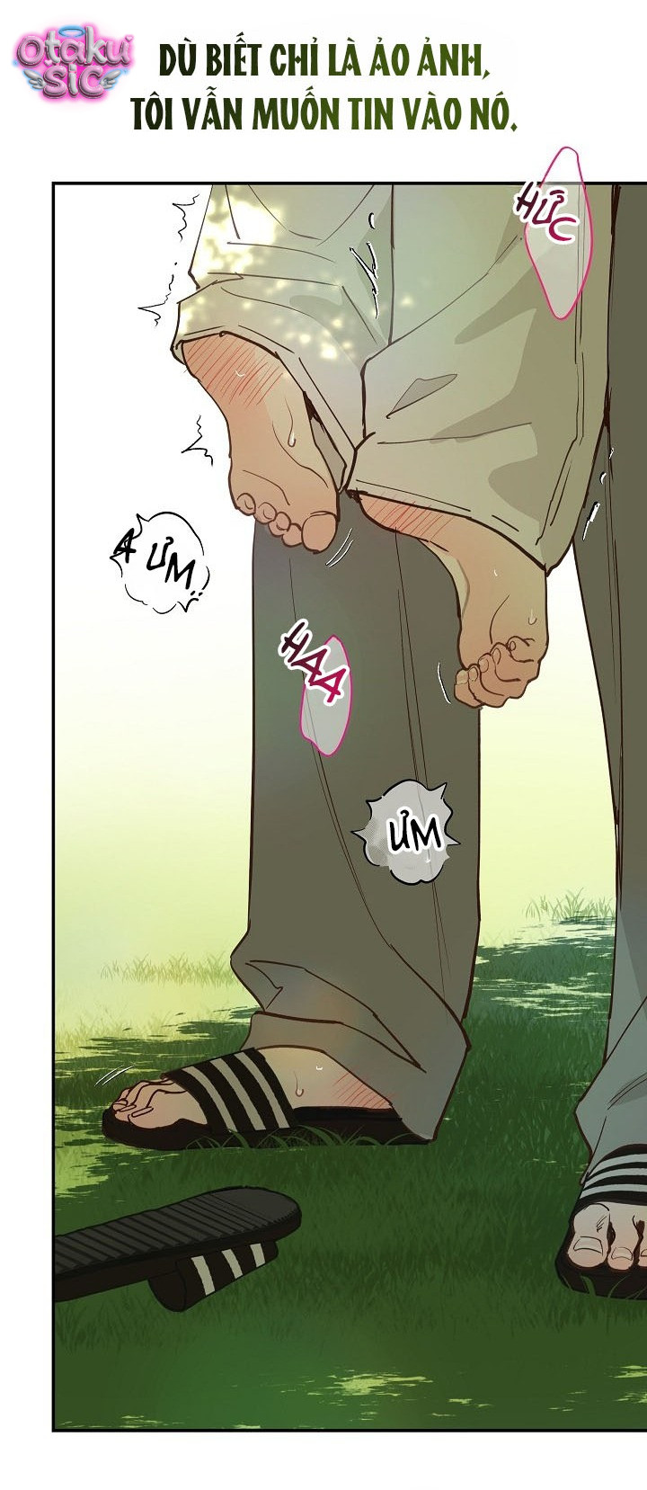 Hoa Là Mồi Nhử - Chap 54