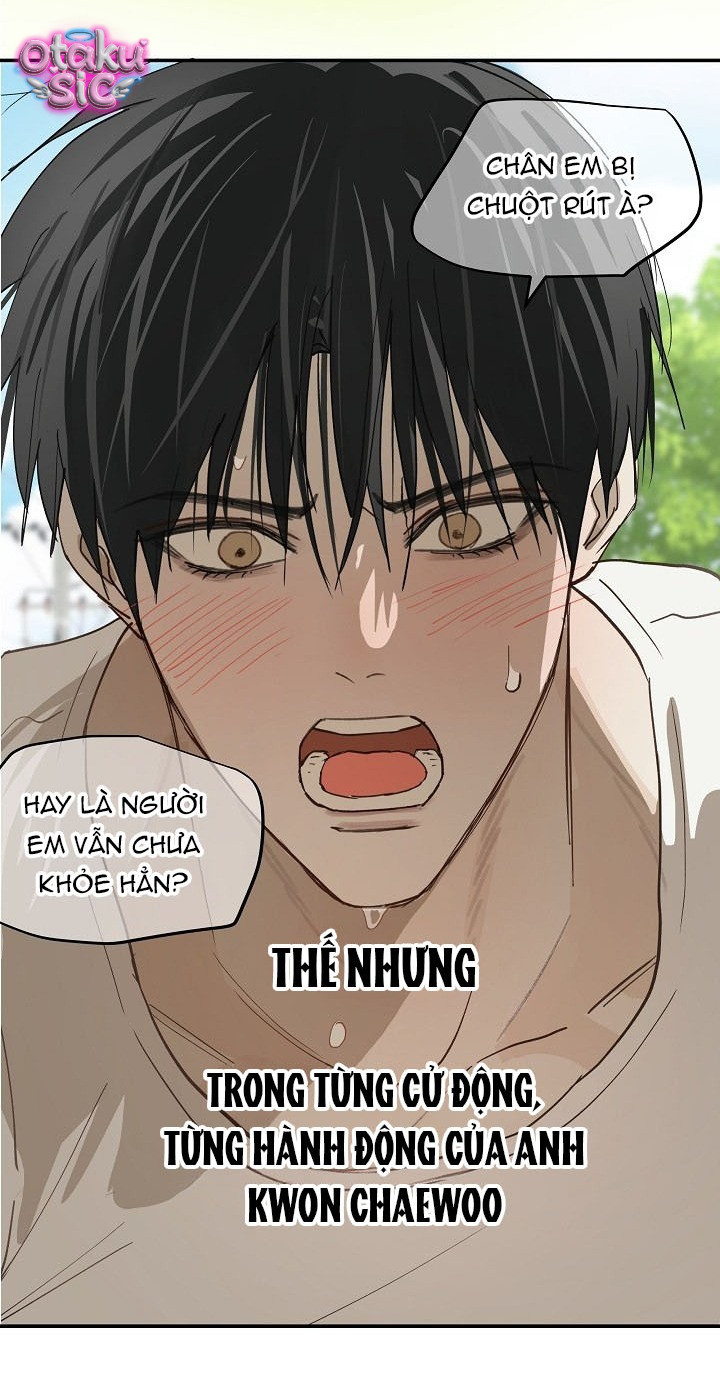 Hoa Là Mồi Nhử - Chap 54