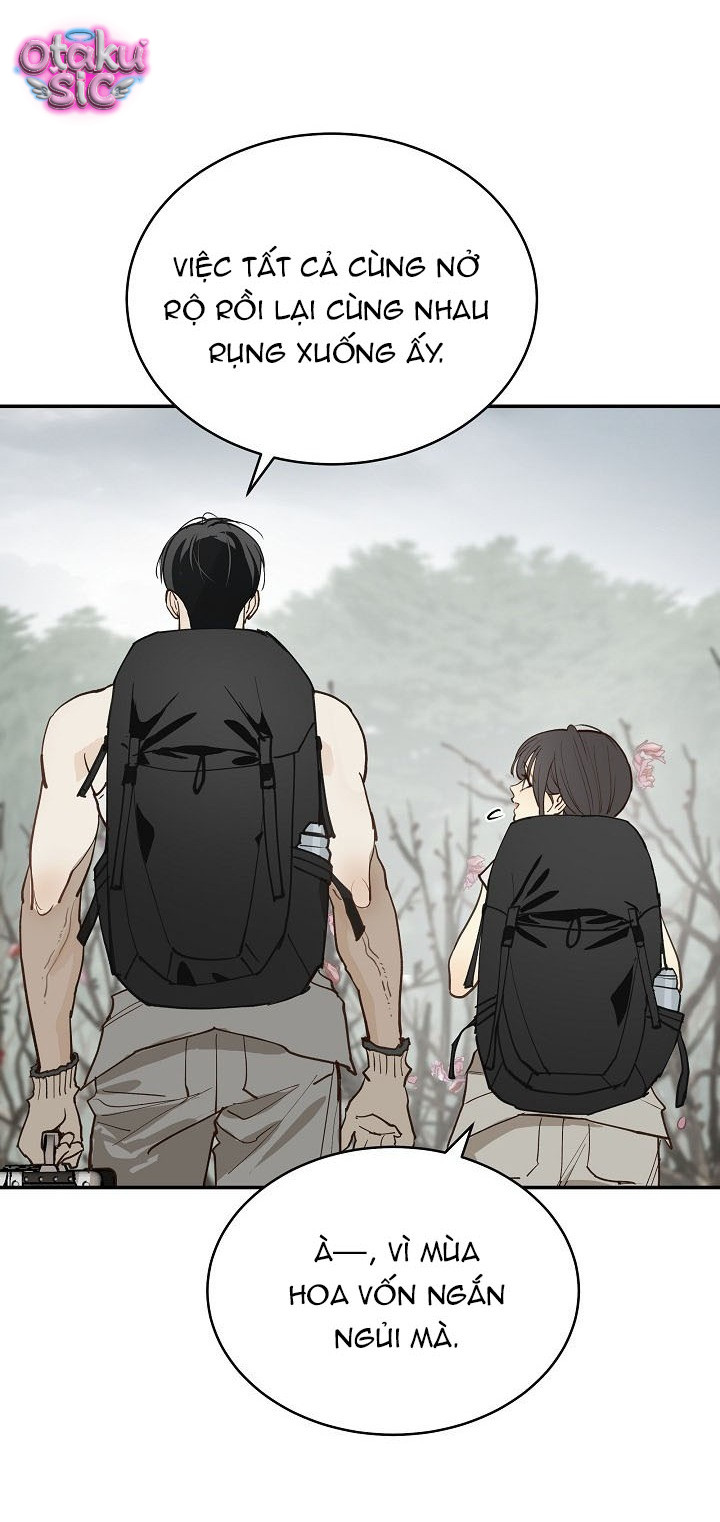 Hoa Là Mồi Nhử - Chap 55