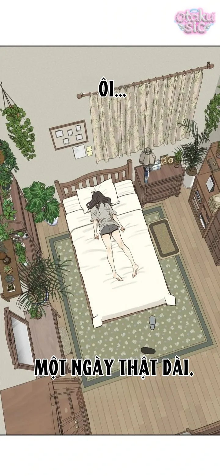 Hoa Là Mồi Nhử - Chap 8 - Trang 2