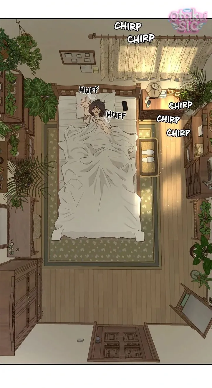 Hoa Là Mồi Nhử - Chap 9 - Trang 5
