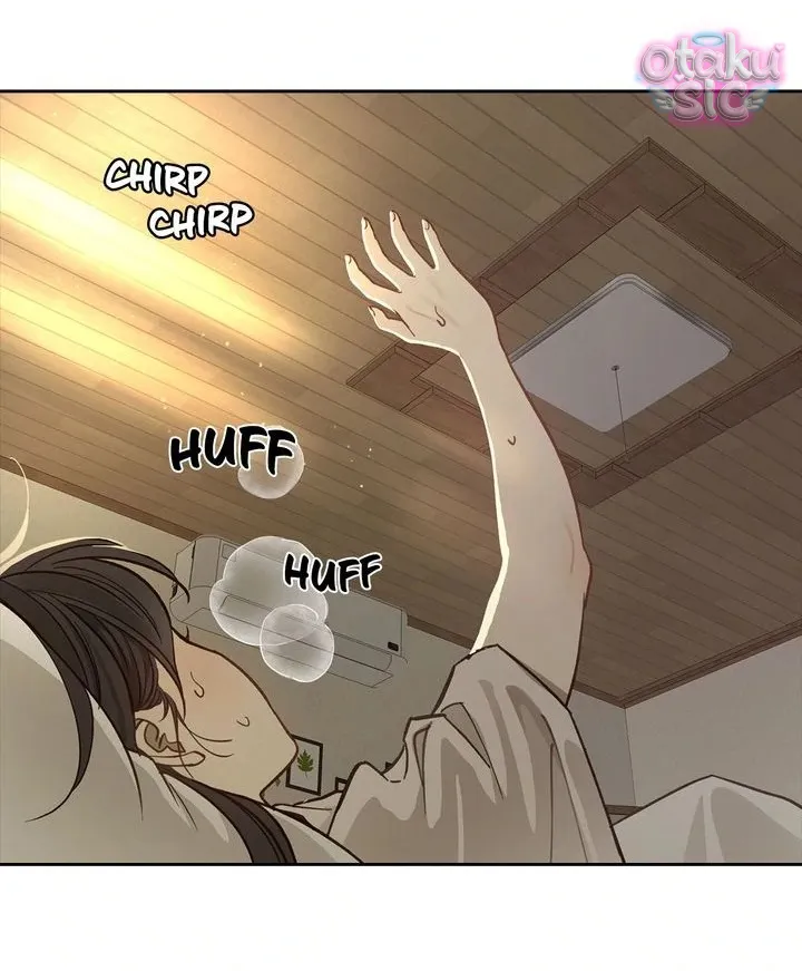 Hoa Là Mồi Nhử - Chap 9 - Trang 6