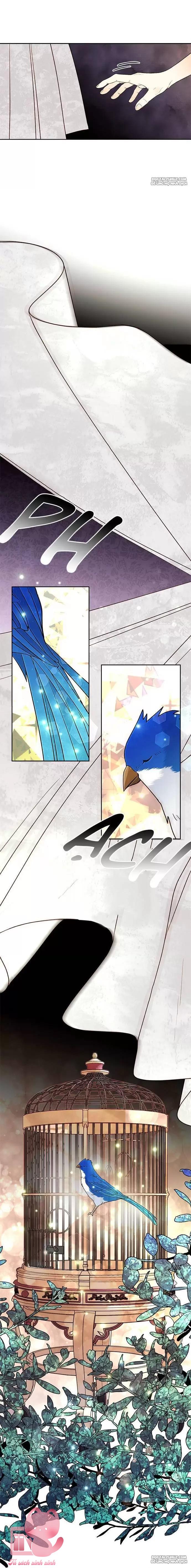 Hoàng Hậu Tái Hôn - Chap 68 - Trang 33