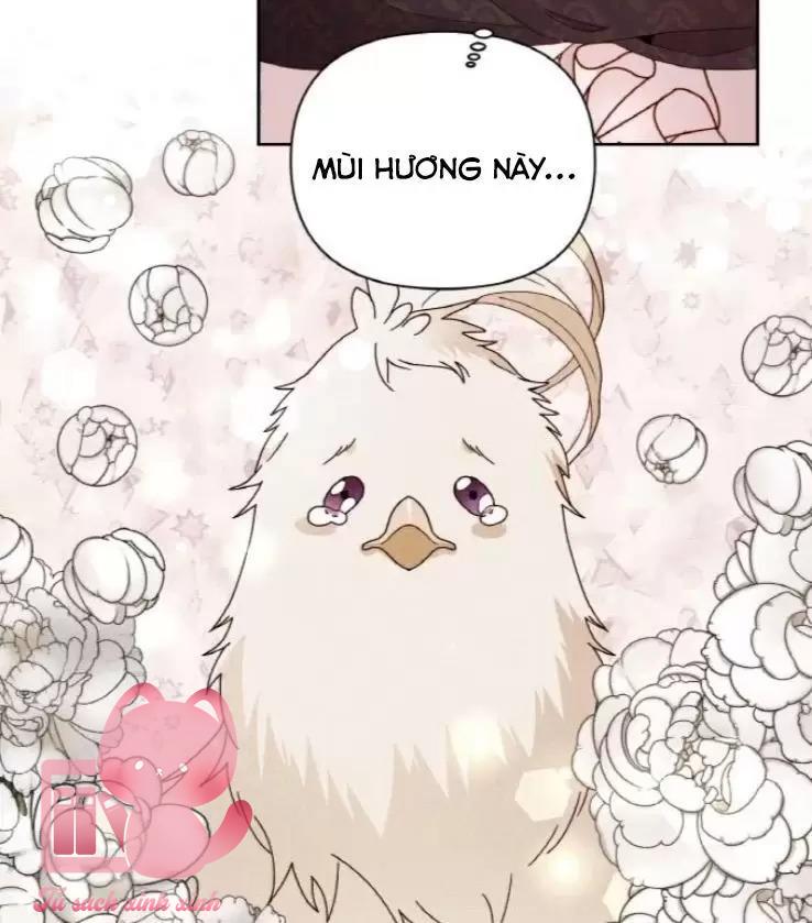 Hoàng Hậu Tái Hôn - Chap 98 - Trang 11