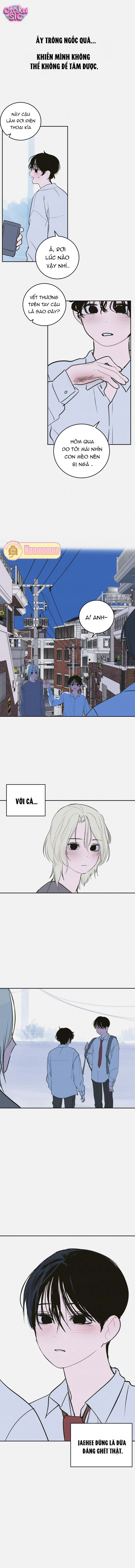 Hội Chứng Chất Nhầy - Chap 7