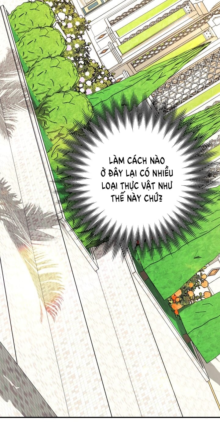 Hôn Nhân Cưỡng Đoạt - Chap 64