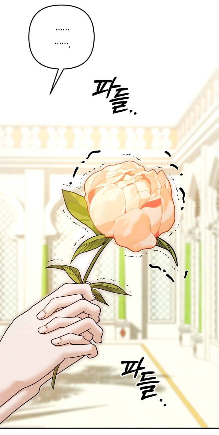 Hôn Nhân Cưỡng Đoạt - Chap 64