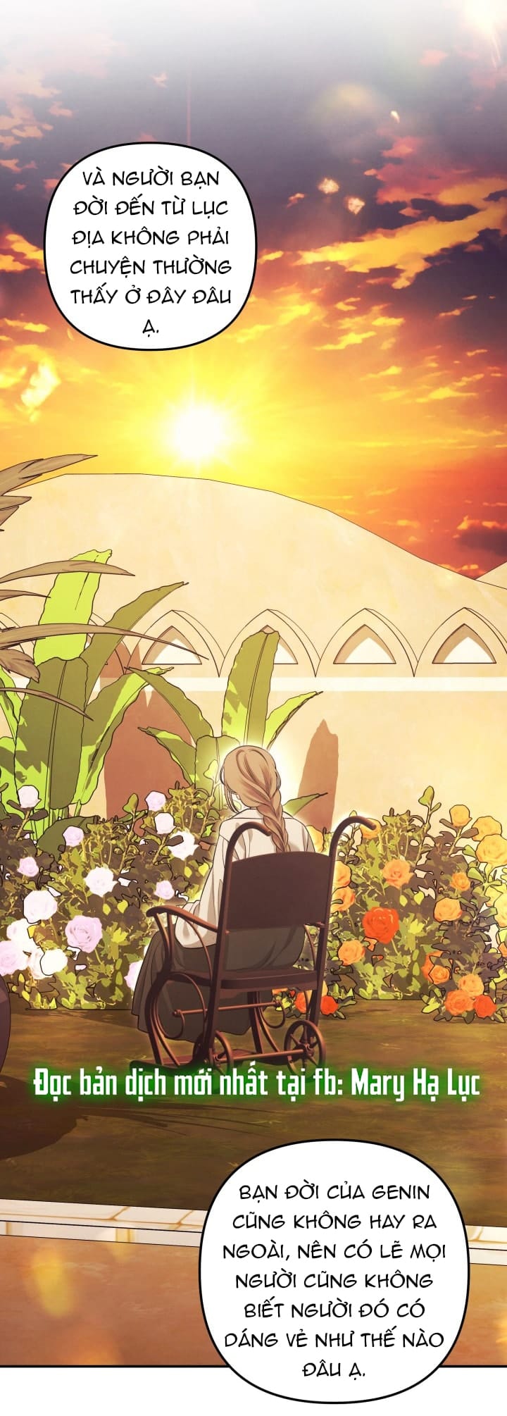 Hôn Nhân Cưỡng Đoạt - Chap 66