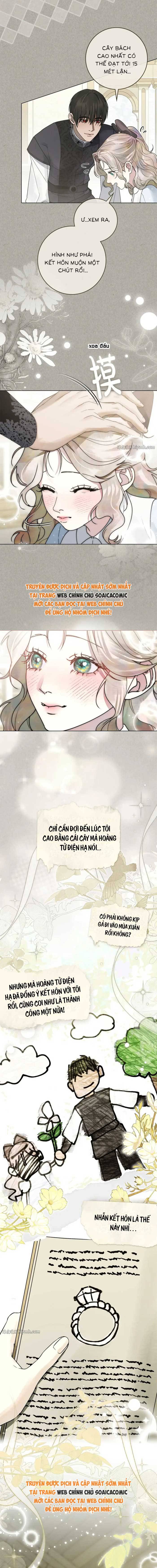 Hôn Ước Đổi Mạng - Chap Hôn Ước Đổi Mạng – Chap 21 - Trang 5