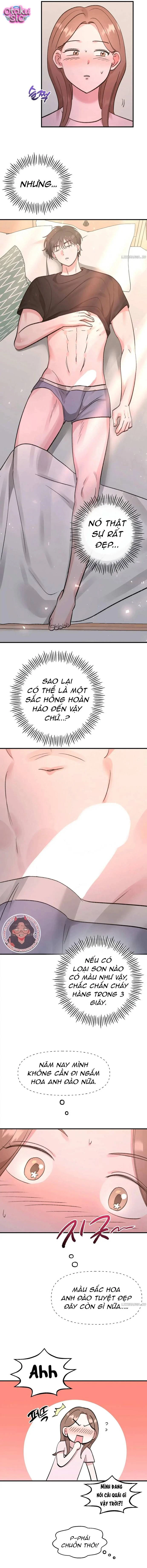 Hồng Hư Hỏng - Chap 2 - Trang 11