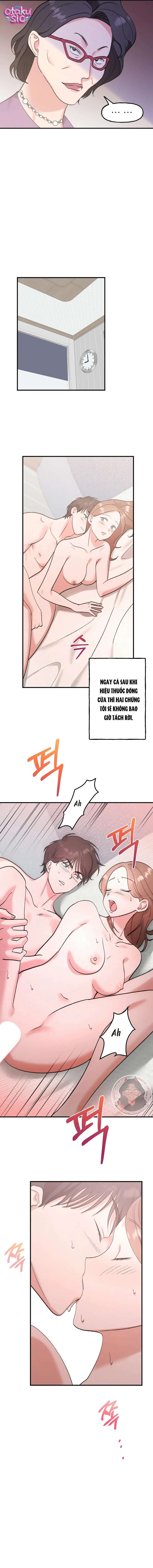 Hồng Hư Hỏng - Chap 24 - Trang 8