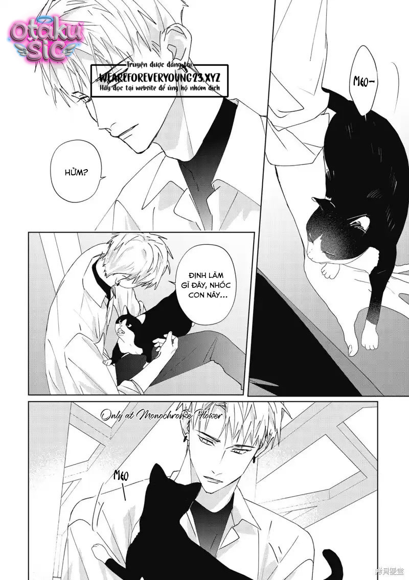 Hợp đồng luyện tập tiếp xúc - Chap 14