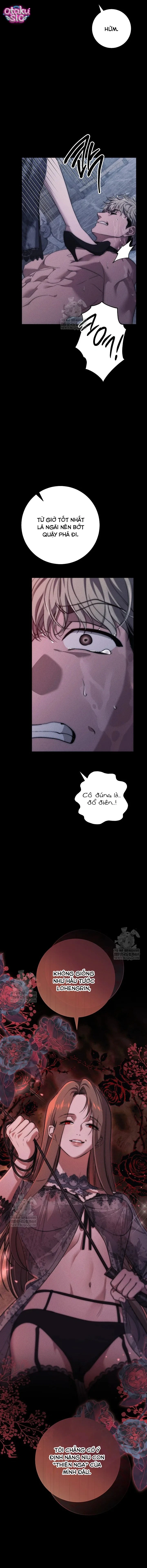 Huyệt Mộ Thiên Nga - Chap 36