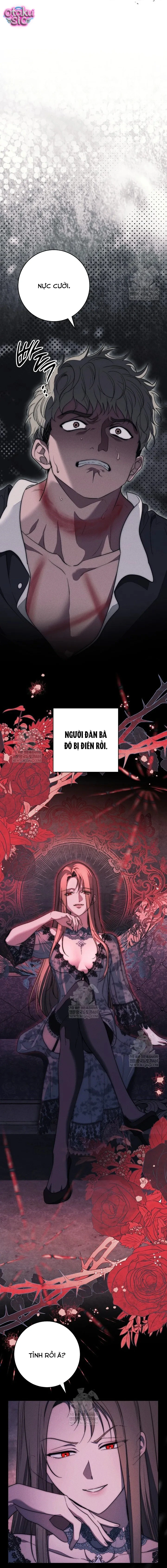Huyệt Mộ Thiên Nga - Chap 36