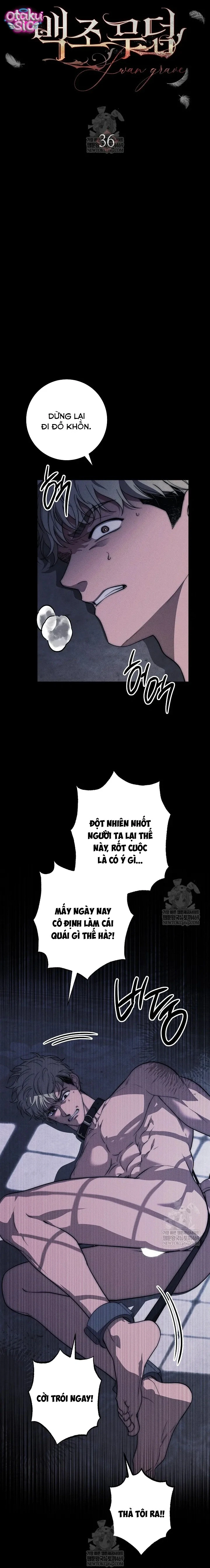 Huyệt Mộ Thiên Nga - Chap 36