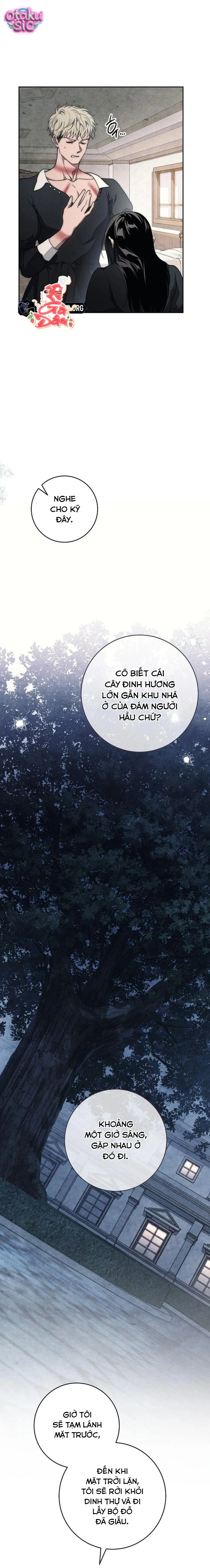 Huyệt Mộ Thiên Nga - Chap 37