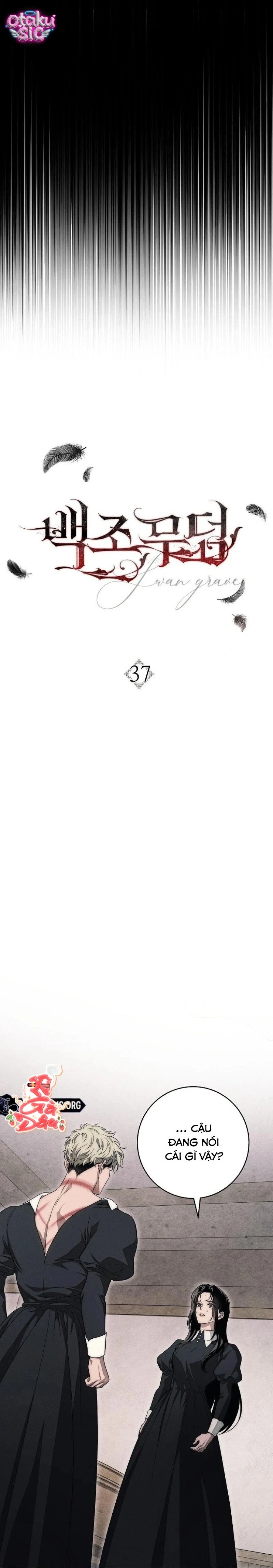 Huyệt Mộ Thiên Nga - Chap 37