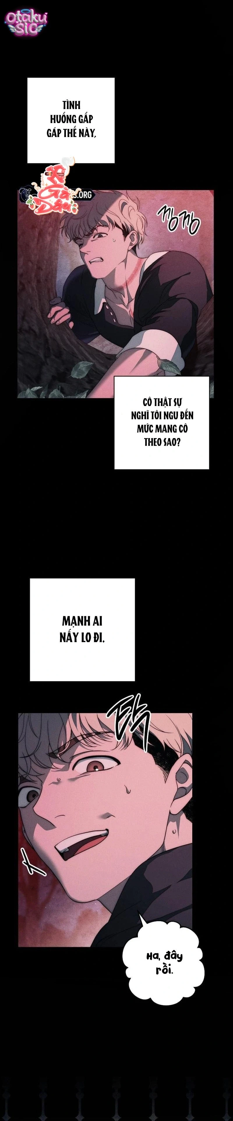 Huyệt Mộ Thiên Nga - Chap 38