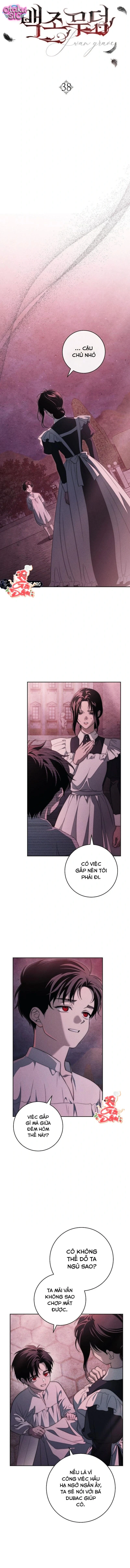 Huyệt Mộ Thiên Nga - Chap 38