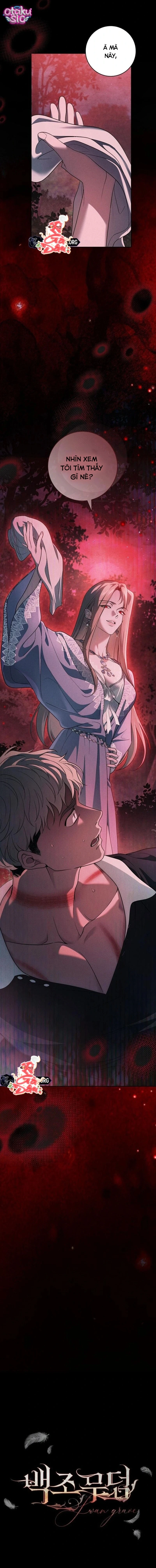 Huyệt Mộ Thiên Nga - Chap 38