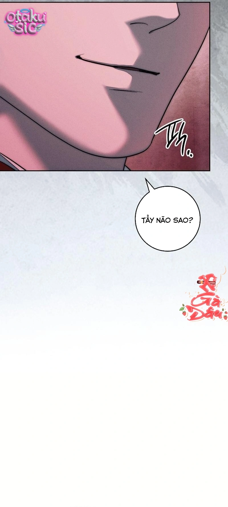 Huyệt Mộ Thiên Nga - Chap 40