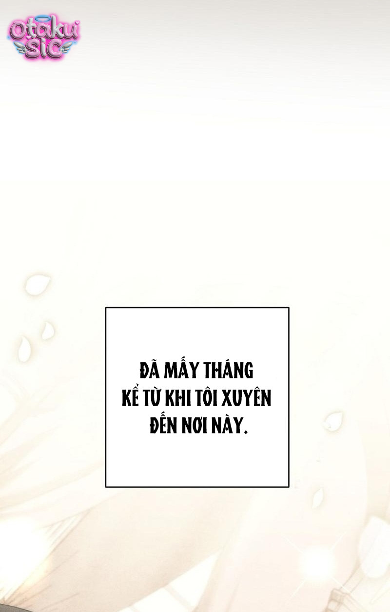 Huyệt Mộ Thiên Nga - Chap 40