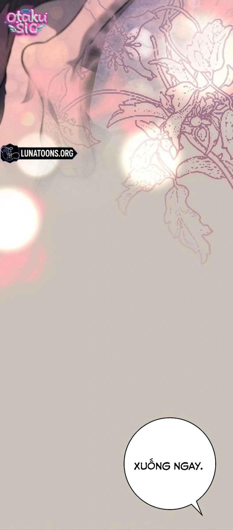 Huyệt Mộ Thiên Nga - Chap 41
