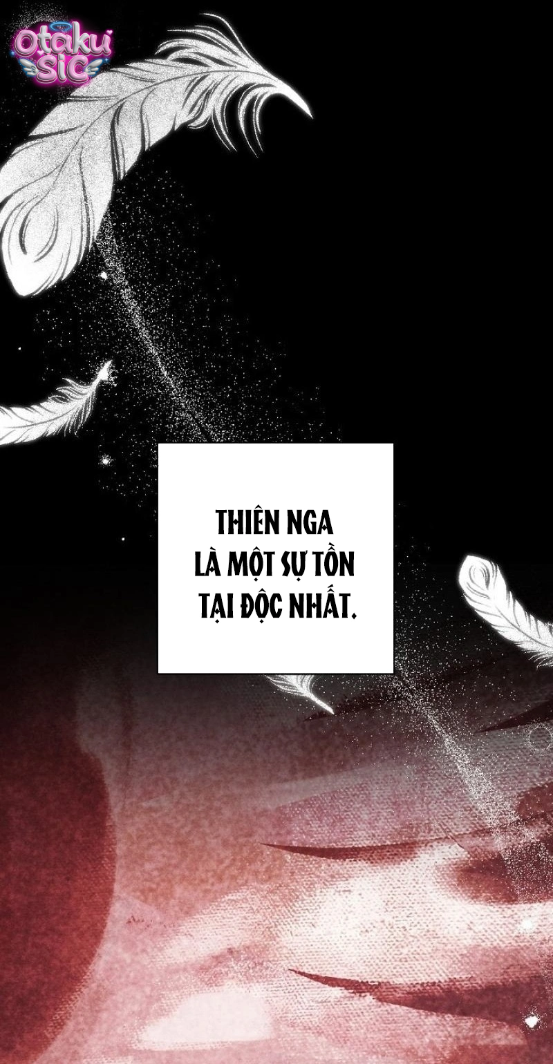 Huyệt Mộ Thiên Nga - Chap 41