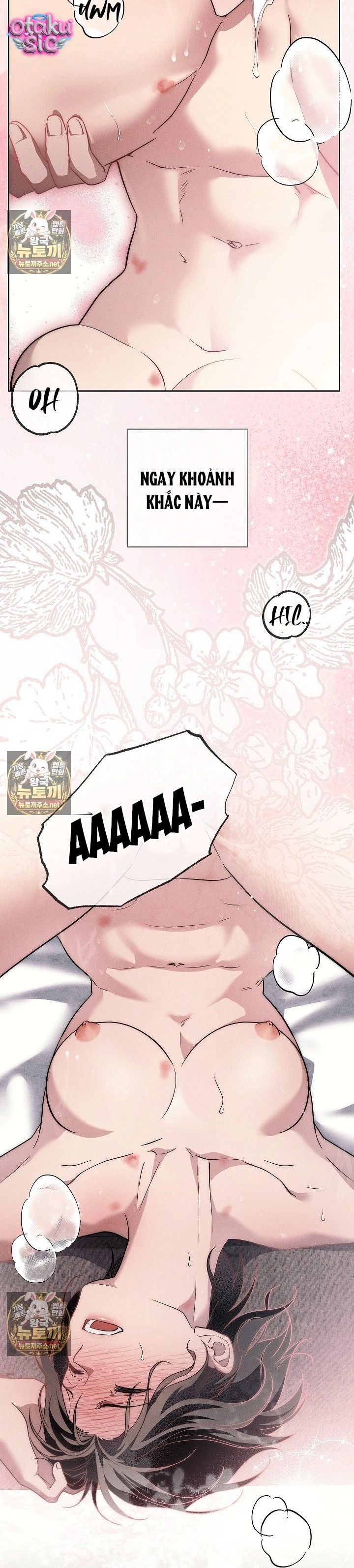 Huyệt Mộ Thiên Nga - Chap 42