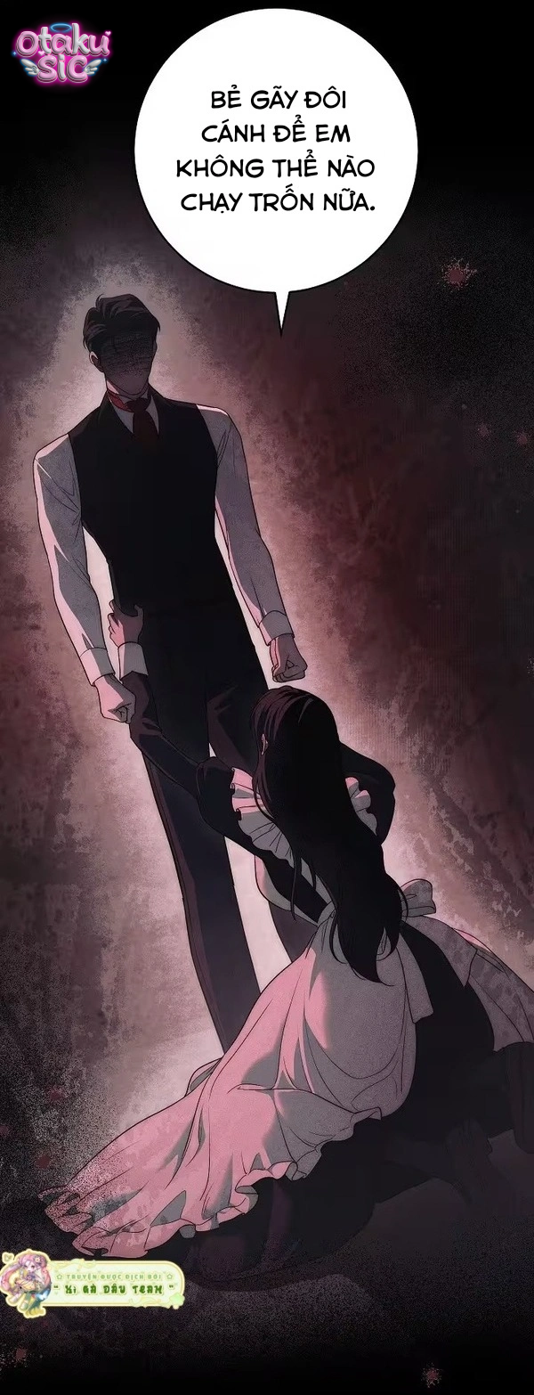 Huyệt Mộ Thiên Nga - Chap 47