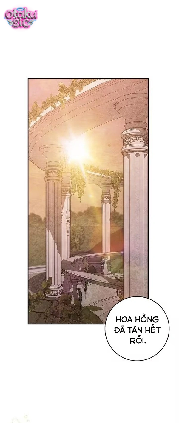 Huyệt Mộ Thiên Nga - Chap 48