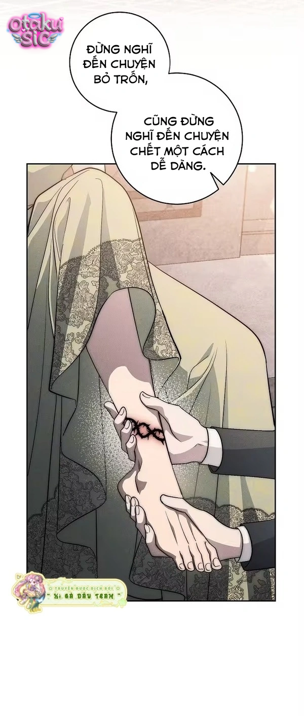 Huyệt Mộ Thiên Nga - Chap 48