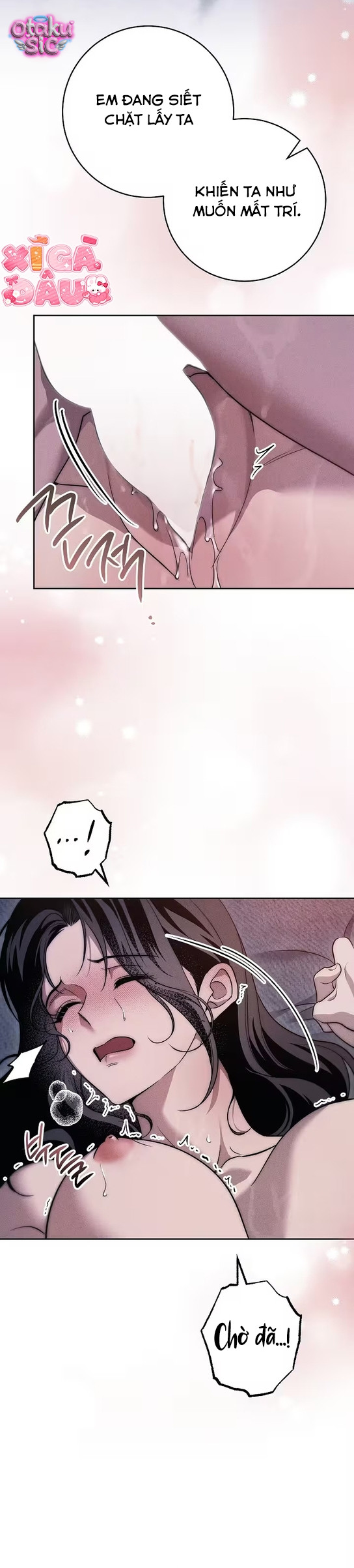 Huyệt Mộ Thiên Nga - Chap 55