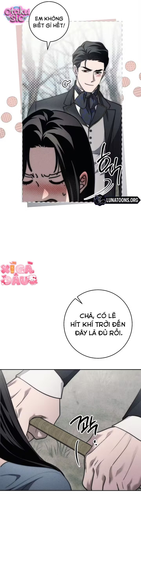 Huyệt Mộ Thiên Nga - Chap 56