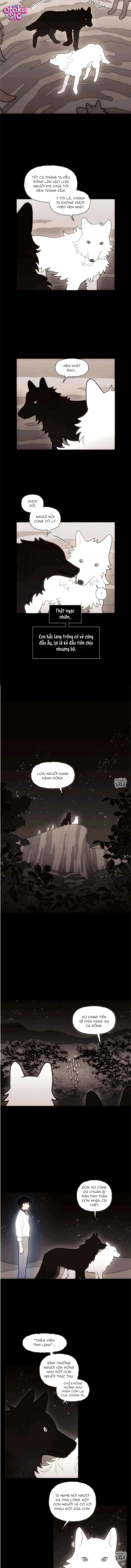 Huyết Nhật - Chap 38