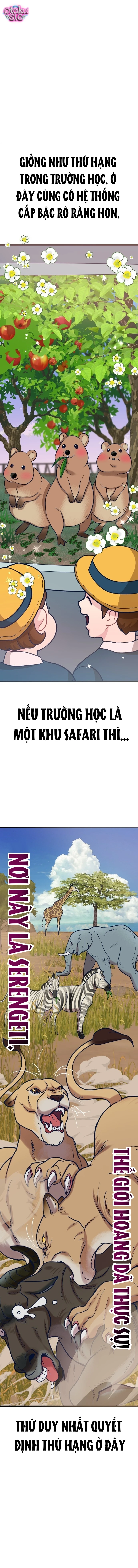 Idol yêu thích của tôi - Chap 5 - Trang 14
