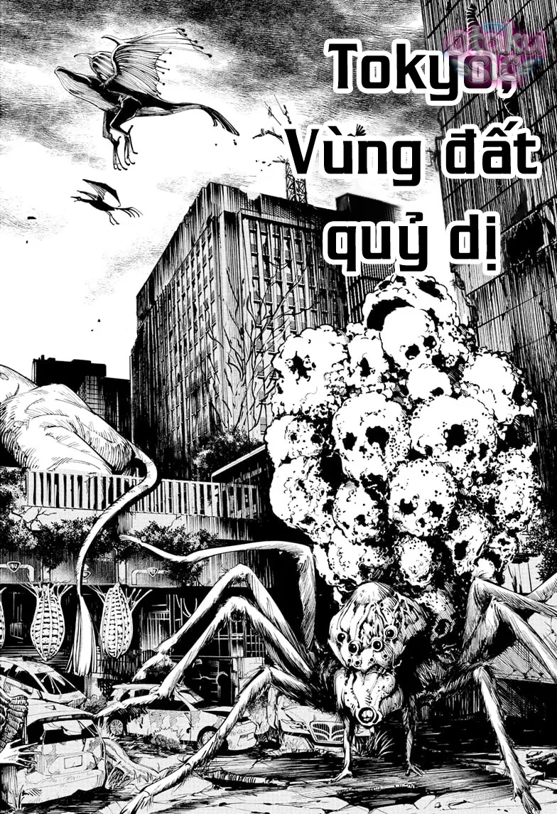 Jujutsu Kaisen Modulo - Chap 12 - Trang 3